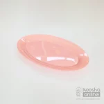 دیس یکبارمصرف بزرگ نگین 4عددی (سالمونی پاستلی)(4عددی)